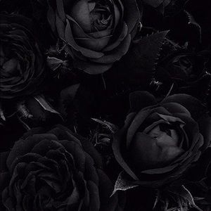 Meet your Posher, Caleb